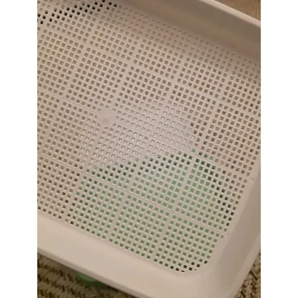 4 Pcs Seed Sprouter Tray with Drain Holes for Microgreens Growing Kit - Picture 13 of 16